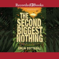 The Second Biggest Nothing by Cotterill, Colin